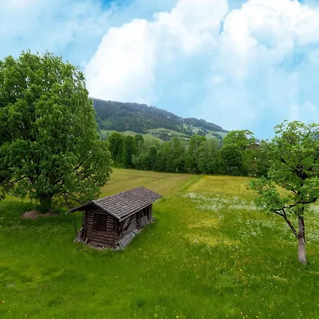 In Tyrol Near Kitzbuehel Lejlighed