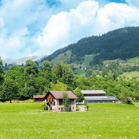 In Tyrol Near Kitzbuehel *