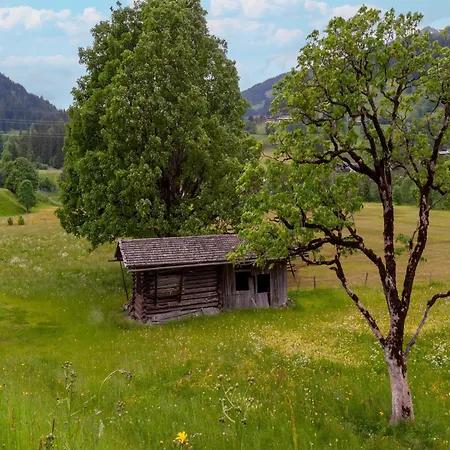 In Tyrol Near Kitzbuehel Apartment Hutte