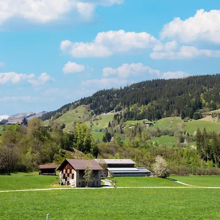 Apartment In Tyrol Near Kitzbuehel *