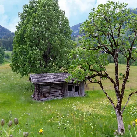 In Tyrol Near Kitzbuehel *