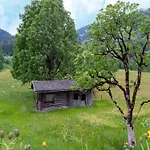 In Tyrol Near Kitzbuehel *